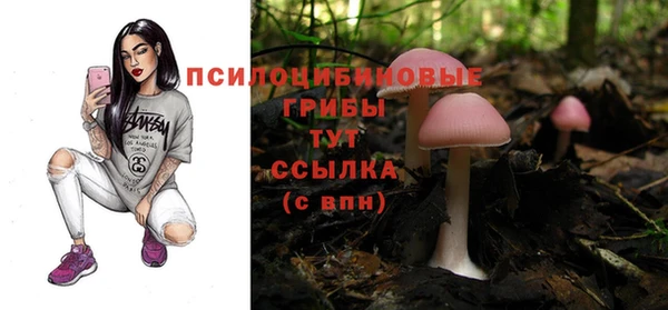 СК Алзамай