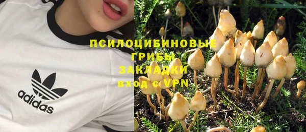 COCAINE Алексеевка