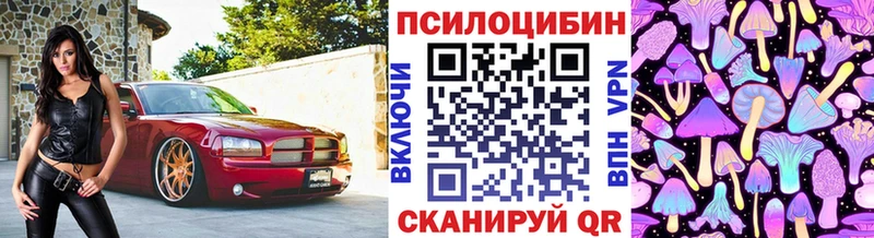 Псилоцибиновые грибы мицелий  как найти закладки  omg ONION  Кондопога 